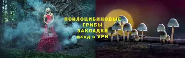 героин Горняк
