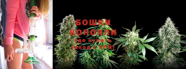 героин Горняк